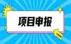 助理申报工作总结8篇