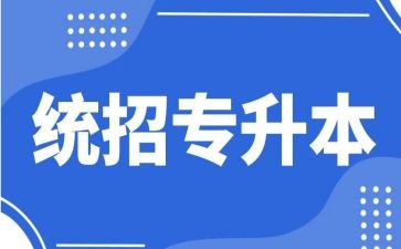 专升本的个人总结6篇