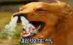 惹妈妈生气作文优秀8篇