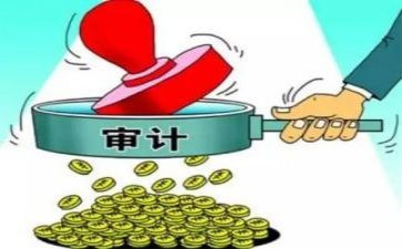 审计局个人总结范文7篇