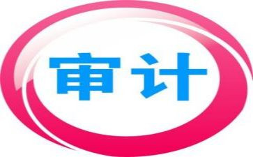个人工作年度总结审计8篇
