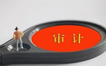 2023年医院审计工作总结8篇