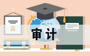 审计的工作总结模板5篇