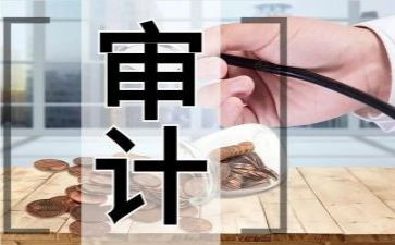 党管审计工作总结推荐7篇