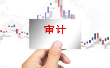 内部审计报告总结8篇