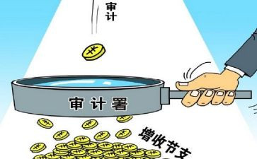 审计工作总结个人工作总结通用5篇