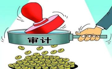 审计的工作总结6篇