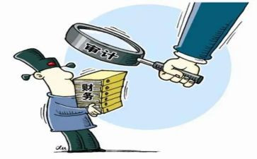 审计个人年度总结5篇