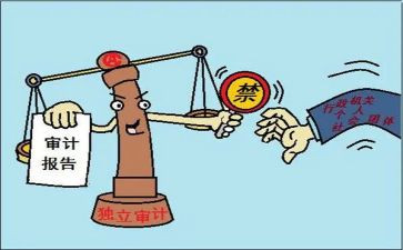 审计所工作总结最新5篇