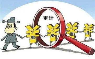 审计前调查报告6篇
