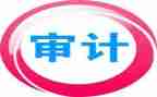个人工作年度总结审计8篇