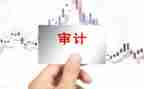 内部审计报告总结8篇