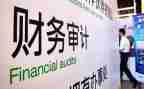 审计个人年度总结最新8篇