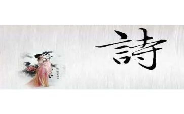 《我爱诗歌》作文5篇