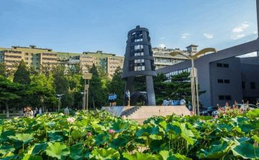 幼师大班工作总结个人总结8篇
