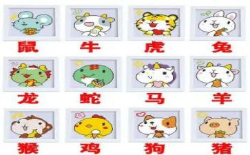 《十二生肖》观后感8篇