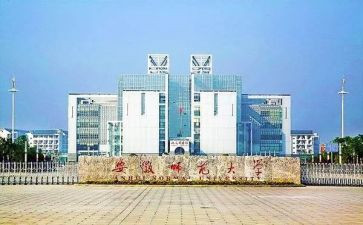 非师范生个人总结优秀5篇