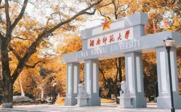 实习师范工作总结模板7篇