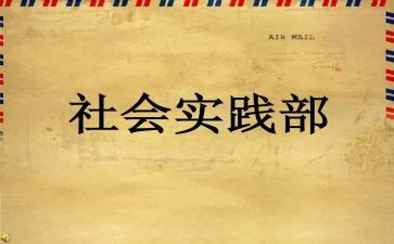 实践部工作总结最新7篇