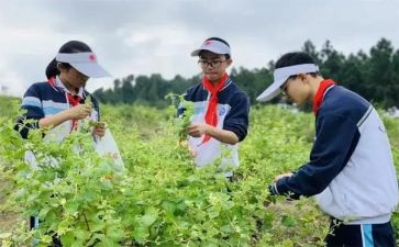 大学心理健康实践课心得6篇