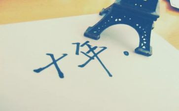 教师十年的工作总结6篇