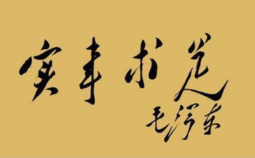 兴办实事工作总结7篇