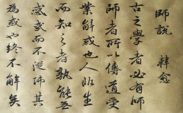 教师说课活动总结最新8篇