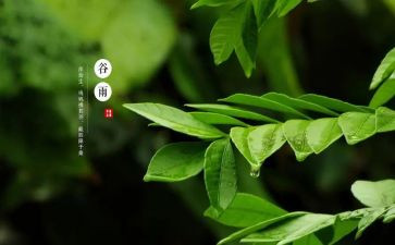 小学生十四运观后感6篇
