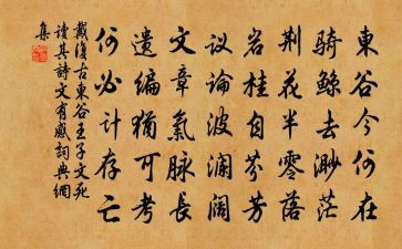 诗文化活动总结最新6篇