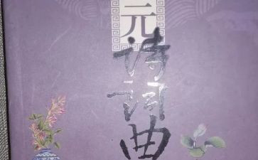 诗文化活动总结5篇