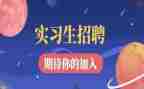 个人工作实习工作总结优质8篇