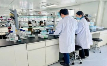 教师实验培训心得体会8篇