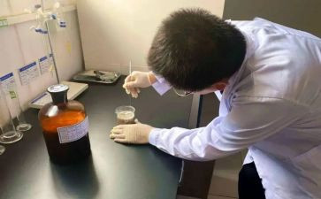 试验工作总结5篇