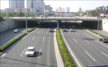 市政局个人总结7篇