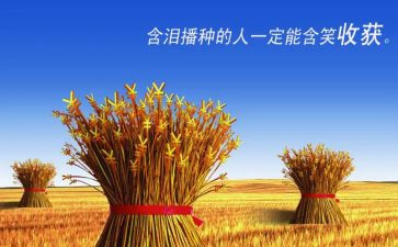 我收获作文600字优质7篇