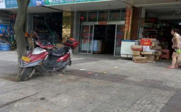 兽药店自查报告5篇