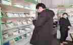 兽药店的工作总结模板5篇