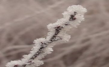 儿童霜的活动方案优秀8篇