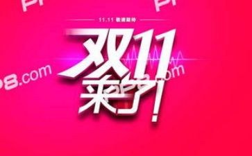 客服双11工作总结模板5篇