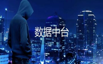 数据员的个人总结8篇