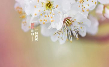 四月的教师总结6篇