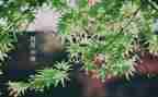 教师四月工作总结范文7篇