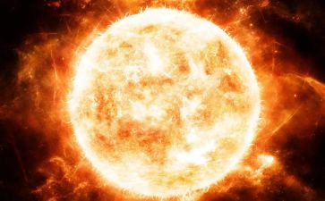 太阳和鱼读后感6篇