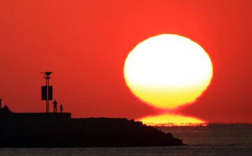 语言绿太阳教案反思7篇