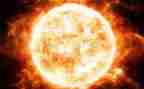 太阳和鱼读后感6篇