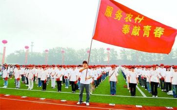 特岗教师年工作总结6篇