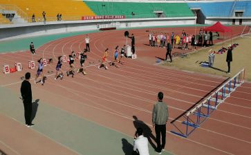 小学田径队活动总结6篇
