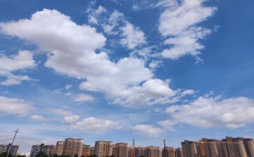 在天空飞翔的作文参考7篇