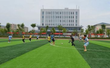 学校体卫处工作总结7篇