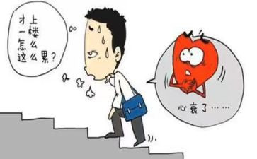 统计工作总结个人工作总结优质6篇